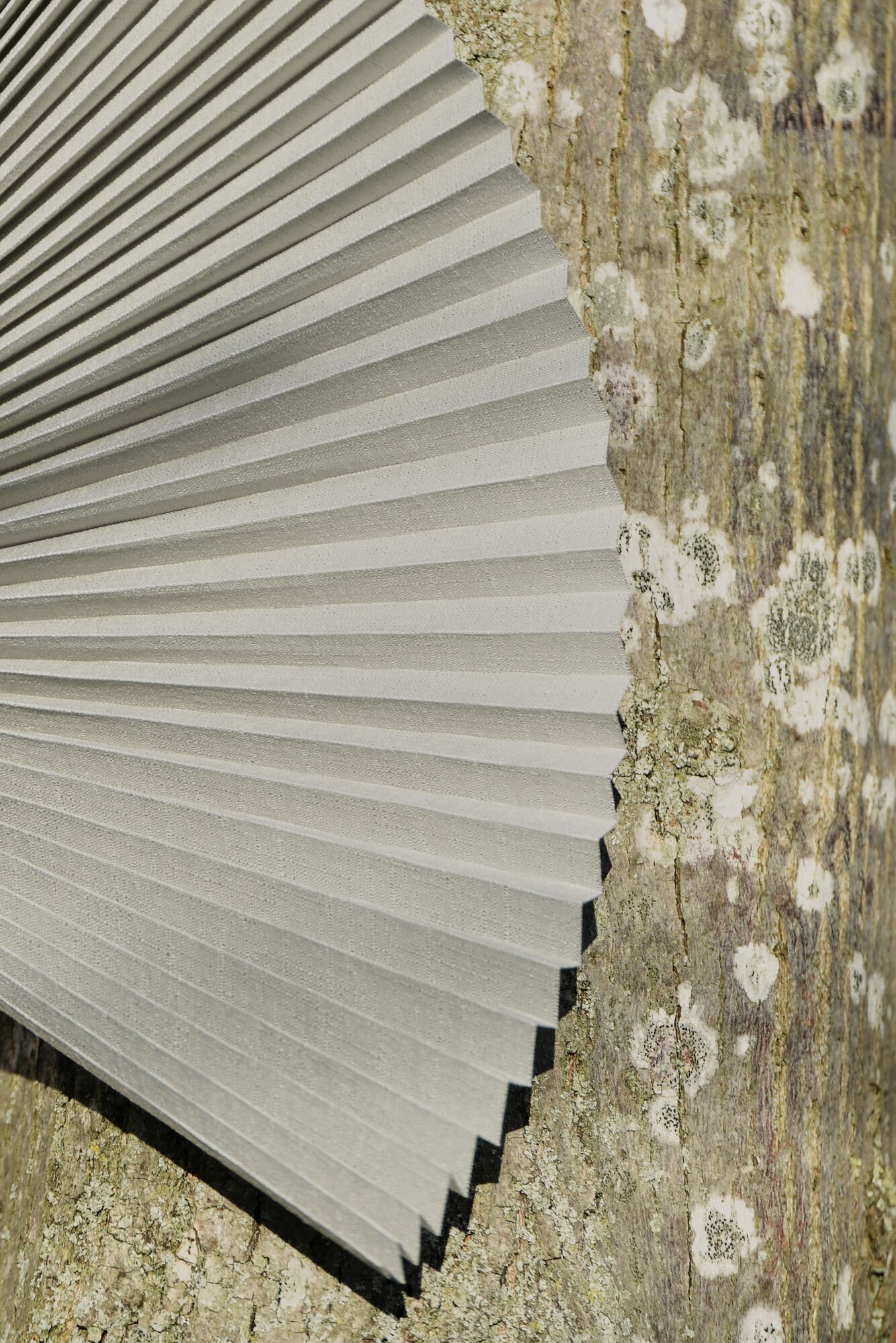 Pleated Collection installation 6